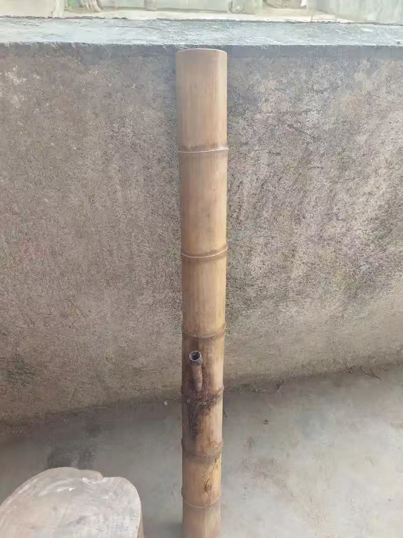 Childhood bamboo pipe